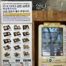 미식가 순대 | 부산 센텀 점심맛집 미식가의 우동ㅣ생활의 달인 콤보세트 먹고 저녁까지 든든한 솔직후기