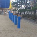 대전샘머리초등학교 네이버블로그