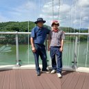 2026-7-25 예당호 출렁다리 버스관광 이미지