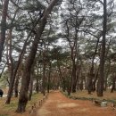 소나무안경 | 운문사 - 사리암 - 운문자연휴양림 【창원 상남동 안경】