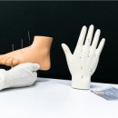 손한의원 이미지