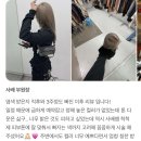 교동 144-2 이미지