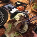 육본심 이미지