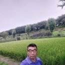 장미원 당구장 이미지