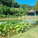 화인상사 이미지