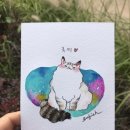 루피쉬스튜디오 이미지