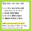 허브스카이세탁 | 내돈내산 절충형 유모차 줄즈 허브2 구매 후기 | 절충형 유모차 선택 기준 | 절충형 유모차 비교