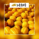 조은농부들