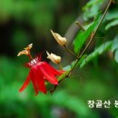 기도때 하나님을 ‘당신’ 호칭 괜찮나? 이미지