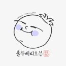 룰루베리 이미지