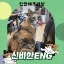 우리가스;우리ENG 이미지