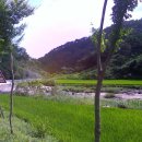 환산정 이미지