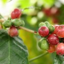 구암농장 이미지