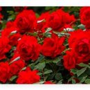 솔뫼중학교 이미지