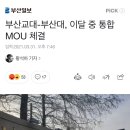 연제구-082 Daum카페