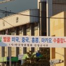 지리산산청벌꿀 이미지