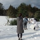 효리네 민박 이미지