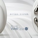 웰스바디케어