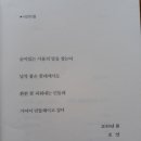 손그늘 이미지