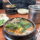 제주본토박이 이미지