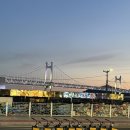 미소집 조개마당 | 광안리 조개구이 맛집 민락동 맛집 미소집조개마당 모듬조개구이 후기