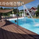 파트라슈 애견 펜션 | 경기도애견동반펜션 파트라슈애견펜션 주말나들이