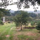 장유 선생 묘 및 신도비 이미지