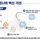 서울큰나무병원 이미지