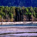 바르와호텔 이미지