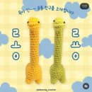 시그노엘 | 11월 4주차-12월 1주차