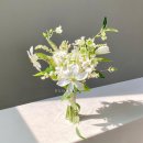 다산지금로 | [wedding] 라본누벨 촬영후기 | 파주 스튜디오