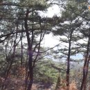 금선농장 이미지