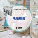 고양이모래 무향 무먼지 끝판왕 우리동네 카사바모래 후기 동묘동락