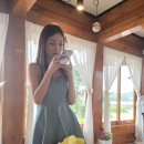 더 담다(The 담다) 이미지
