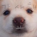 연산반점 이미지