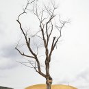 장곡리 마을회관 이미지