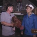 자연인 이미지