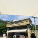 오션파크 | 내돈내산ㅣ오션월드 비발디파크 홍천 다녀 온 후기