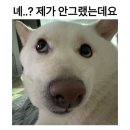 에어비앤비에서 와인잔깨트리고 받은 문자 이미지