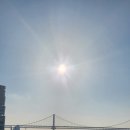 부산시립정신병원 이미지