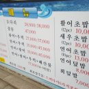 회박사 이미지