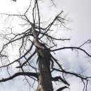 도덕1리 이미지