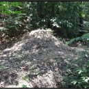 송학보건진료소 이미지