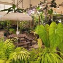 초록이둥지협동조합 | 태안 파도로카페, 파도리해식동굴 근처 바다뷰 카페에서 물때 실패 아쉬움 달랜 후기