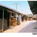 제원한약방 | 이혜경(여, 30세) / 본부 / 도기 128년 음력 7월 2일 입도