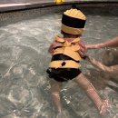 아쿠아 프랜즈 | [강릉] 강릉 탑스텐호텔 아쿠아파크 &amp; 온천 후기 | 그 외 탑스텐호텔 부대시설