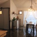 나른한 당근 이미지