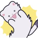 시노베코리아 네이버블로그