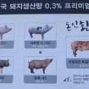돈인환영