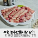 단골집 | 수원 농수산물시장 방어 회 포장 단골집 내돈내산 후기